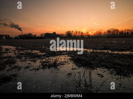 In inverno il paesaggio sunrise nella foresta con un campo congelati in primo piano nella Bassa Austria Foto Stock