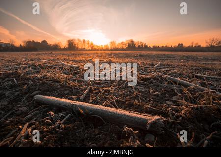 Paesaggio invernale all'alba nella foresta con un campo ghiacciato in primo piano Foto Stock