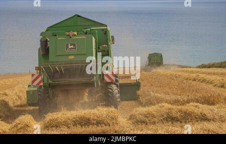 Spring Barley Harvest, Garretstown, Co. Cork Foto Stock