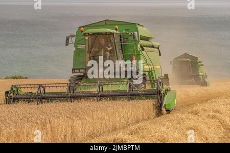 Spring Barley Harvest, Garretstown, Co. Cork Foto Stock