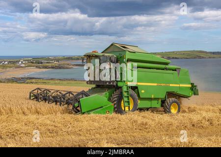 Spring Barley Harvest, Garretstown, Co. Cork Foto Stock