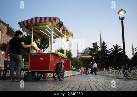 Istanbul, Turchia. 01st luglio 2022. Un uomo vende mais sulla pannocchia nel Parco Sultanahmet di fronte alla Moschea Blu. Credit: Sebastian Kahnert/dpa/Alamy Live News Foto Stock