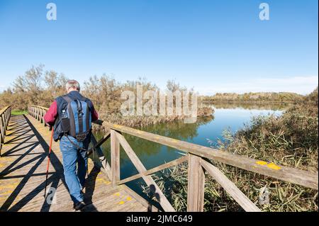 Escursionista (60 anni) su una passerella di legno . Foto Stock