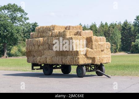 Carro agricolo vecchio piano con balle di paglia impilate Foto Stock