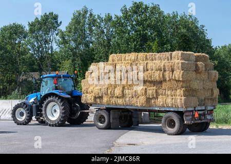 Trattore blu con vecchio carro agricolo semplice con balle di paglia impilate Foto Stock