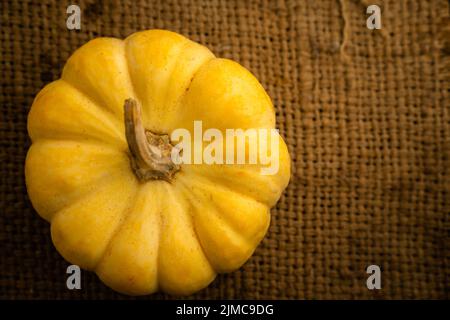 Zucca gialla fresca sul sacco con spazio per mettere il testo Foto Stock