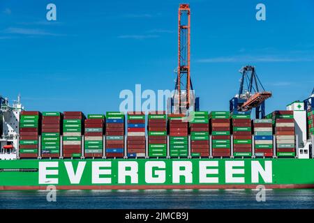 Europoort, porto di Rotterdam, Evergreen Reederei Container Ship Ever Ace, attualmente il terzo più grande container freighter al mondo, con un massimo di 24 unità, Foto Stock