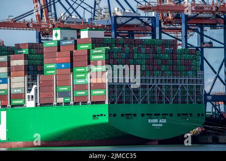 Europoort, porto di Rotterdam, Evergreen Reederei Container Ship Ever Ace, attualmente il terzo più grande container freighter al mondo, con un massimo di 24 unità, Foto Stock