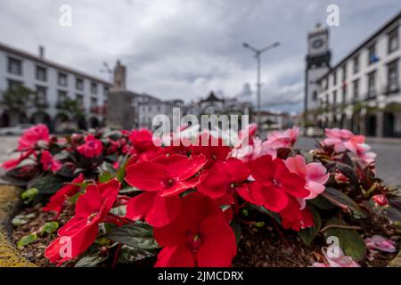 Fiori rossi a fuoco selettivo con 'Portas da Cidade', la città simbolo di Ponta Delgada sullo sfondo. Isola di São Miguel nelle Azzorre, Portogallo. Foto Stock