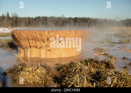 Tubo con rifiuti in natura. Tubo arrugginito da terra. Problema ambientale. L'acqua calda si riversa nel fiume. Foto Stock