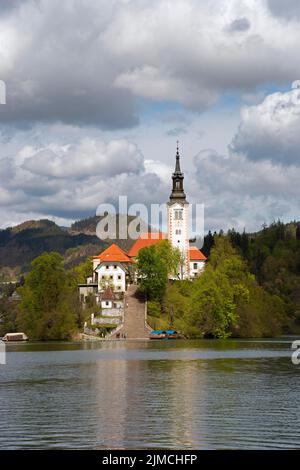 Isola di Bled con Chiesa di Santa Maria, Lago di Bled, Lago Veldes, Blejsko jezero, Bled, Veldes, Feldes, Regione dell'alta Carniola, Gorenjska, Slovenia, Balcani Foto Stock