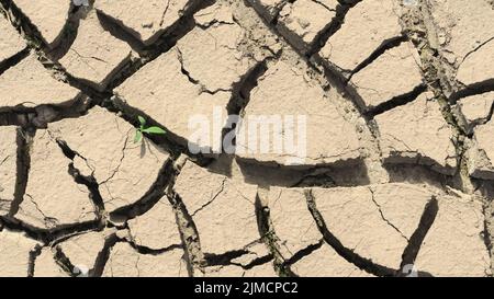 Terreno incrinato, prima verde dopo una stagione secca, Germania Foto Stock