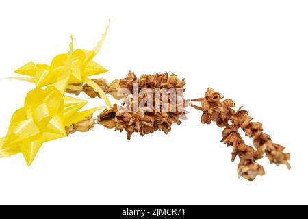 Vecchio fiore di ghirlanda tailandese da fiori di gelsomino e nastro giallo su sfondo bianco e spazio per mettere il testo Foto Stock