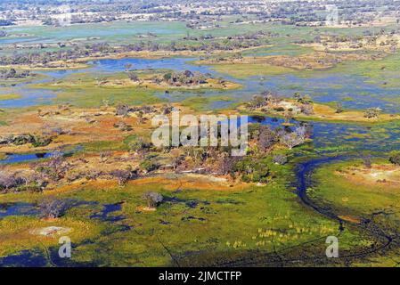 Okavango Delta , Botwana, Africa Foto Stock