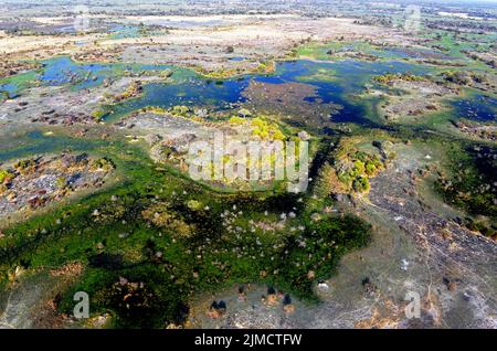 Okavango Delta , Botwana, Africa Foto Stock