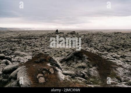 Spettacolare scenario di campo di lava di Eldhraun coperto di muschio vicino alla spiaggia di Reynisfjara sotto il cielo nuvoloso in Islanda Foto Stock