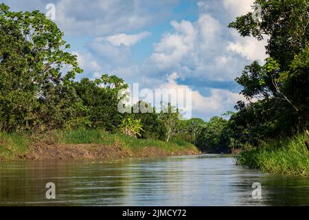 Il fiume Yanayacu nel Perù settentrionale è un affluente del fiume Amazon Foto Stock