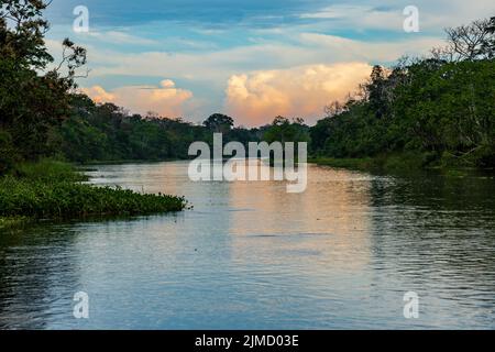 Il fiume Yanayacu nel Perù settentrionale è un affluente del fiume Amazon Foto Stock