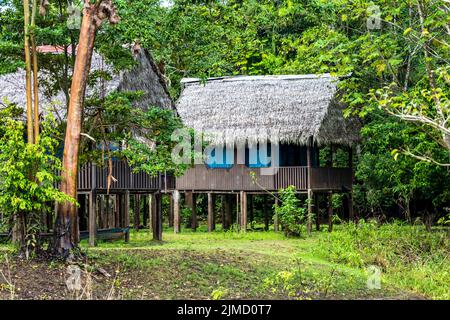 Il Curassow Amazon Lodge si trova sulle rive del fiume Yanayacu nell'Amazzonia peruviana Foto Stock