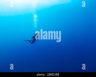 Subacqueo professionista irriconoscibile in mute e pinne che nuotano in un mare blu profondo con acqua limpida Foto Stock