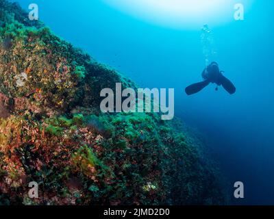 Subacqueo professionista irriconoscibile in mute e pinne che nuotano in prossimità di formazioni rocciose irregolari con superficie irregolare in mare blu profondo con acqua limpida Foto Stock