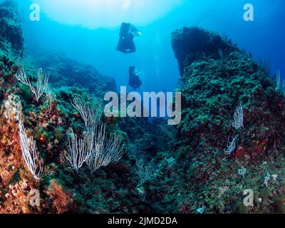 Subacqueo professionista irriconoscibile in mute e pinne che nuotano in prossimità di formazioni rocciose irregolari con superficie irregolare in mare blu profondo con acqua limpida Foto Stock