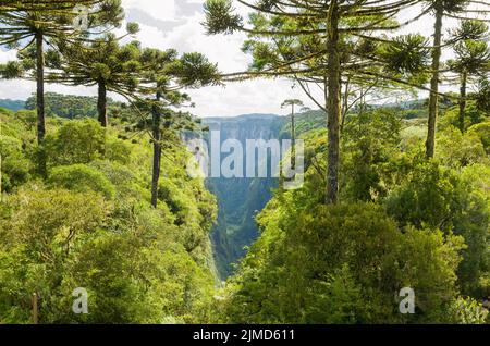 Bellissimo paesaggio del Canyon di Itaimbezinho e verde foresta pluviale, Cambara do sul, Rio Grande do sul, Foto Stock