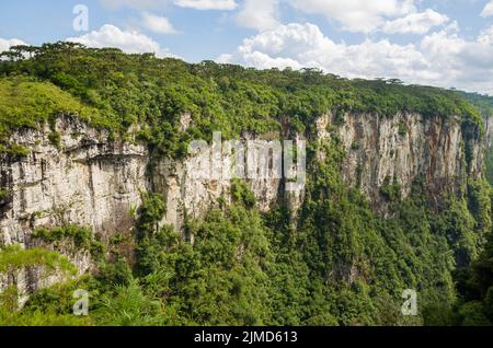 Bellissimo paesaggio del Canyon di Itaimbezinho e verde foresta pluviale, Foto Stock