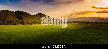 Splendida vista sul campo di riso e sulle montagne al tramonto. Panorama Foto Stock