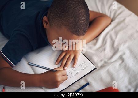 Credo che fare i compiti sia divertente. Un ragazzo giovane che usa una matita mentre scrive a casa. Foto Stock