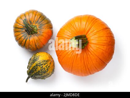 Zucche fresche isolate su sfondo bianco Foto Stock