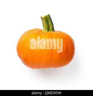 Zucca fresca vegetale isolato su sfondo bianco Foto Stock