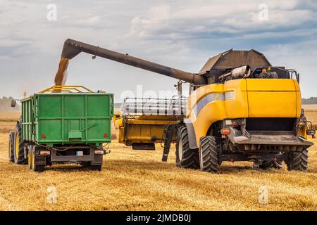 Mietitrebbiatrice e trattore che lavorano su un campo di grano grande Foto Stock