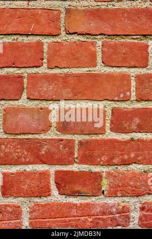 Sfondo. Muro della scuola di 180 anni - sfondo antico e spazio copia. Foto Stock