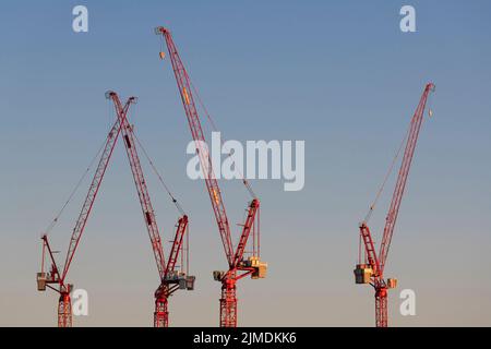 Quattro gru alla luce della sera su un grande cantiere edile nella parte occidentale dei Paesi Bassi Foto Stock