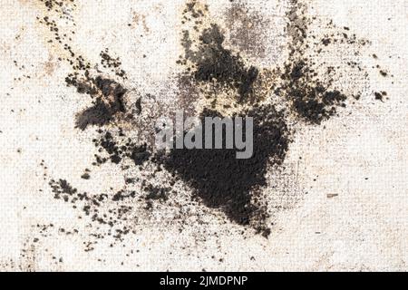 Stampo nero su una parete bianca. Primo piano di muffa muro con fungo Foto Stock