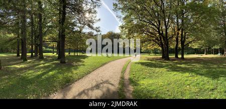 Panorama dei primi giorni di autunno in un parco, lunghe ombre di alberi, cielo azzurro, gemme di alberi, Trunks di bocce, giorno di sole, percorso i Foto Stock