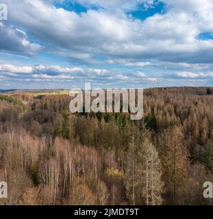 Vista aerea sulle foreste e sui prati di Westerwald, Altenkirchen, Germania Foto Stock