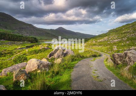 Splendido paesaggio con tortuosa strada di campagna illuminata dalla luce del sole al tramonto nella Valle Nera Foto Stock