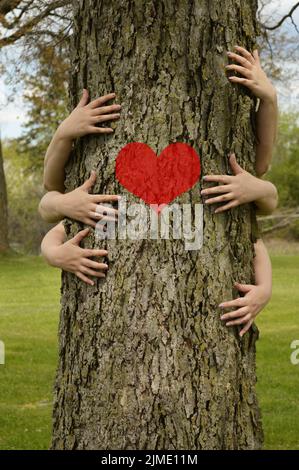Gli ambientalisti che abbraccia gli alberi Foto Stock