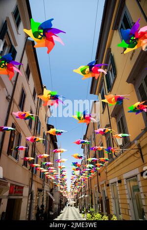 Pinwheels per colorare l'inizio dell'estate a Pietrasanta Lucca Toscana Foto Stock