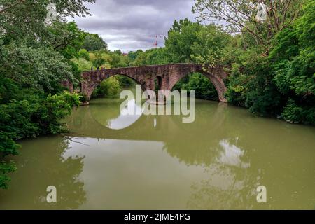 Medievale Puente de la Magdalena Ponte sul fiume Arga a Pamplona, Navarra, Spagna settentrionale, circondato da alberi in una giornata nuvolosa Foto Stock