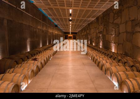 Botti di rovere per l'invecchiamento del vino in una cantina sotterranea in Vale dos Vinhedos Foto Stock