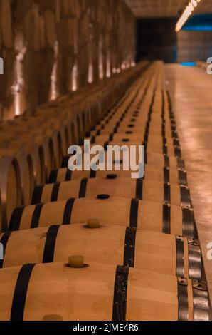 Bento Goncalves, Rio Grande do sul, Brasile, 07 aprile - 2021: Botti di rovere per l'affinamento in cantina sotterranea di vale dos Vin Foto Stock