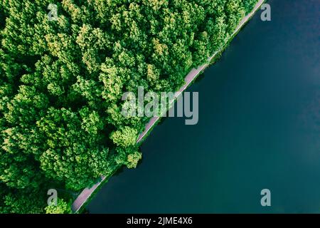 Vista dall'alto della foresta verde e dell'acqua, spazio copia Foto Stock