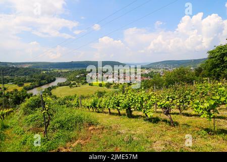La valle del Neckar, vista dalla Michelsberg, Gundelsheim, Baden-WÃ¼rttemberg in Germania, Europa Foto Stock