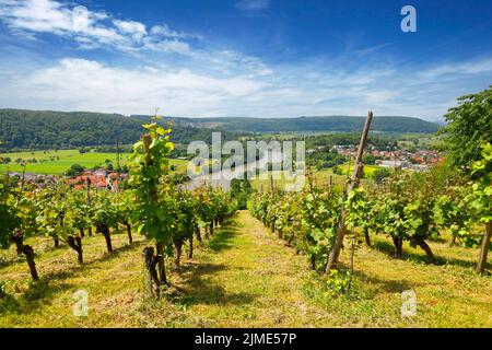 La valle del Neckar, vista dalla Michelsberg, Gundelsheim, Baden-WÃ¼rttemberg in Germania, Europa Foto Stock