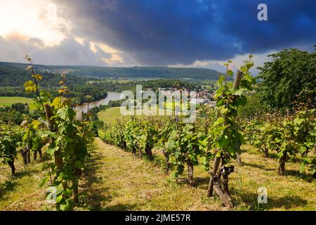 La valle del Neckar, vista dalla Michelsberg, Gundelsheim, Baden-WÃ¼rttemberg in Germania, Europa Foto Stock