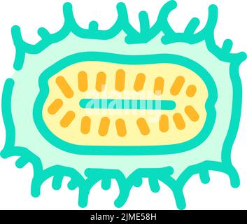 immagine vettoriale dell'icona del colore del cetriolo anguria Illustrazione Vettoriale