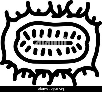 immagine vettoriale dell'icona della linea del cetriolo anguria Illustrazione Vettoriale